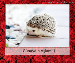 Sevgiliye Gunaydin Mesajlari Sevgiliye Resimli Gunaydin Mesajlari 2020 2020 Sevgililer Mesajlar Gunaydin