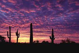 Maybe you would like to learn more about one of these? Arizona Desert Sunset Wallpapers Top Free Arizona Desert Sunset Backgrounds Wallpaperaccess