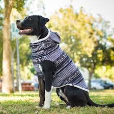 The Aspen I Long Dog Clothing Dog Sweaters Dog Coats Dog Clothes