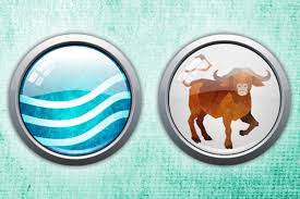However, there are three variants of the ox, each with a different chance of obtaining through an ox box. Chinese Zodiac Animal What Is A Water Ox And What Year Is It
