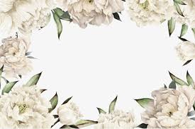White Flowers Border Png White Flower Png Flower Png Images White Flowers