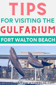 Fort Walton And Destin Attractions For Kids Fort Walton Beach Fort Walton Beach Florida Fort Walton Beach Restaurants