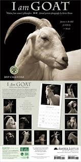 I Am Goat 2019 Wall Calendar Animal Portrait Photography And Wisdom From Nature S Philosophers By Kevin Horan Wall Calendar Pet Portraits Photography Calendar