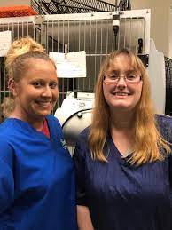 Successful dental surgery on a cat part 2! Petco Groomers Find New Home At Danville Family Vet Wset