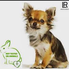 Lr Urunlerinin Hic Bir Hayvan Uzerinde Deney Yapilmadigini Ve Fabrikada Paketleme Sadece Engelli Isciler Calistigini Biliyormuydun Animals Health Beauty Beauty