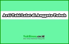 Biasanya ia akan terlibat pada berbagai. 45 Arti Tahi Lalat Di Anggota Tubuh Bagi Pria Dan Wanita