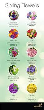 We did not find results for: Spring Wedding Flowers Interflora Spring Wedding Flowers Wedding Flowers Season Winter Wedding Bouquet