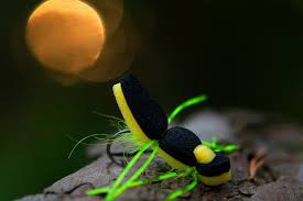Flies are used as artificial bait that mimics insects which make up the diet the assorted trout flies are dived into equal amounts of dry flies, wet flies, nymph flies, and streamer flies. Foam Feeding Frenzy Dry Flies For Large Sea Run Brown Trout Ahrex Hooks