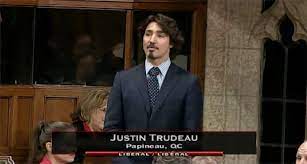 From beto o'rourke and justin trudeau to sylvester stallone and david letterman, sprouting whiskers at a certain age is loaded with. Canadians React To Justin Trudeau S Wispy Salt And Pepper Beard Vancouver Is Awesome