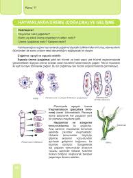 Biologija 7 Tur Taneva By Ministry Of Education And Sience Issuu