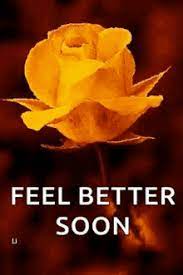 Get well soon flowers gif images. Get Well Flowers Gifs Tenor