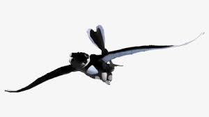 Toothless And The Light Fury S Offspring Sherece Toothless X Light Fury Hd Png Download Kindpng Toothless x light fury tribute don t let me down. toothless x light fury hd png download