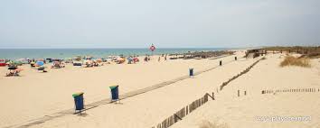 It is a peaceful beach, surrounded by a forest of green pine trees. Praia Verde Beach Castro Marim Portugal