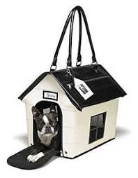 Continual calls text and emails i have reported scam to western union, my cc company, facebook and local police to. 160 Pet Carriers For The Stylish Pets Ideas Pet Carriers Pets Dog Travel