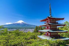 Mt Fuji 5th Station Peach Or Grape Picking Tour From Tokyo 2021