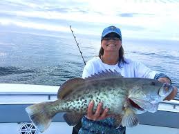 Venture through the waters of st.petersburg beach and tamp bay. Group Fishing Charters Stpetersburg Offshorehustler Fishing Charters Shark Fishing Fish