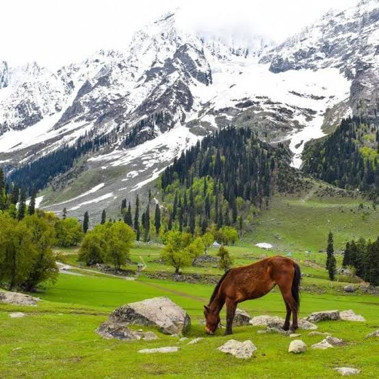Betaab Valley Pahalgam Kashmir