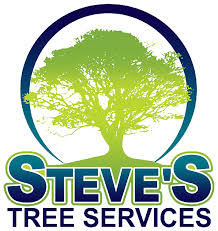 Stump grinding, trimming, elevations, crown reduction, tree removal, clean outs, and more. Professional Tree Trimming Removal And Crane Services In Toledo Area Steve S Tree Service