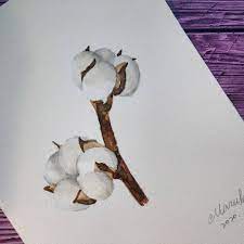 0 個讚 0 則留言 instagram 上的maruko丸玩手作 marukolifeday 畫花草草 棉花一直覺得棉花很可愛 一支插在花瓶裡也美 畫花草草