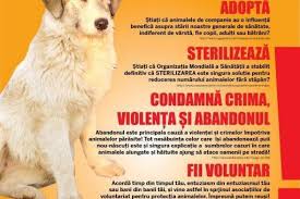 Maybe you would like to learn more about one of these? Ziua Internationala A Animalelor Fara Stapan Stiri De Cluj