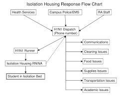 Ppt Isolation Housing Response Flow Chart Powerpoint