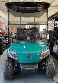 Image result for Green 2020 Fleet