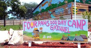 We continuously strive to create a fun. Four Paws Dog Kennel Brooksville Spring Hill Fl Hernando Pasco