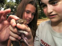 It's been nine years since Hurricane Charley took a swing at Florida