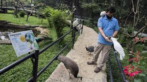 Selain fasilitas umum seperti mushola, kamar mandi setelah dibuat lelah berkeliling area kebun binatang, silahkan rehat sejenak menuju ke area terapi ikan. Tempat Hiburan Dan Objek Wisata Di Bandung Boleh Buka Lagi Ini Syaratnya Suara Jabar