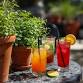 Plant a Mocktail Garden