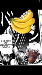 I am back from the dead to cyberbully people. Reject Humanity Return To Monke Fandom
