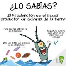 Fitoplancton en el océano