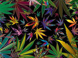 Download, share or upload your own one! Weed Laptop Wallpapers Top Free Weed Laptop Backgrounds Wallpaperaccess