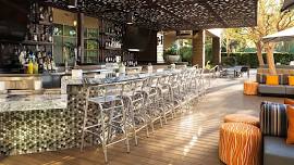 The Urban Oasis Reset