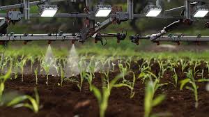 Fumigation may be used to control insects and some diseases in stored products or to control insects such as wireworms and grubs, nematodes, and sometimes fungi and weeds in soil. Greeneye Technology