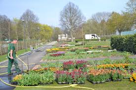 Die suche in der umgebung ergab folgende ergebnisse: Landesgartenschau Giessen Bellis Und Vergissmeinnicht Bringen Farbe Ins Freiland Dega Gartenbau Fachmagazin