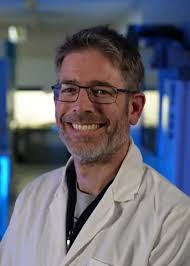 Tribological mode of action of spherical silica in a tooth brushing contact 