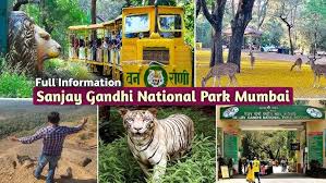Tiger and Lion Safari -National Park ...