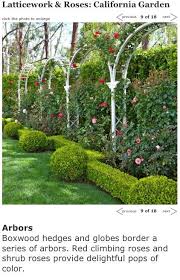 Latticework Roses California Garden Garden Arch Trellis Garden Arches Rose Garden Design