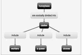 Solved Honeybees Are Socically Divided Into Castes Includ