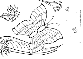 Preschool pre k summer coloring pages. Free Printable Summertime Summer Coloring Pages Novocom Top