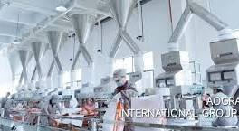 Washing Powder OEM/ODM Services