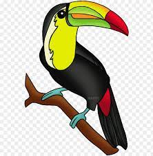 We did not find results for: Toucan Amazon Rainforest Animals Clipart Png Image With Transparent Background Toppng