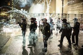 People were ordered to leave the area or face police detain passengers in a mutual aid van during an indigenous peoples day of rage protest on october 11, 2020 in portland, oregon. Violent End To 2020 In Portland As Riot Is Declared Daily Mail Online