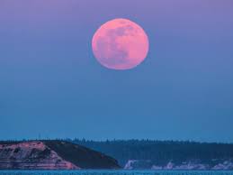 The name supermoon was first used by astrologer richard nolle in 1979 to mean a new or full moon that occurs when the moon is at perigee, or the closest point to earth in its orbit. Pink Moon 2021 When Is The Pink Moon What Time April 2021 S Super Full Moon Will Occur And Its Meaning A Super Pink Moon Will Kick Off The Last