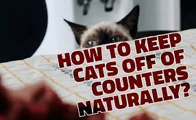 The following suggestions can help keep cats off counters and tables: How To Keep Cats Off Of Counters Naturally Catwiki