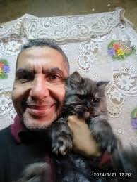 White Cookie and Gypsy when they were little 😻😻 #lucy #cat