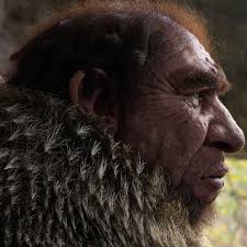 From the start, they got a bad reputation. Sivan Okcuoglu Homo Neanderthalensis