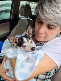 Can't believe you have been gone 5 years my best buddy 😢 I always think  about you and miss you ❤️ Lucy is with you this year 🥲🌈❤️ You would have  loved