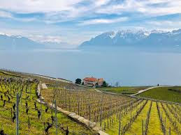 We did not find results for: Spring In Switzerland Jan Adventures